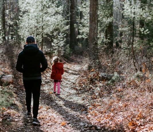 여름철 산책의 건강 효과와 주의사항 man in black jacket and black pants standing in the middle of forest during daytime