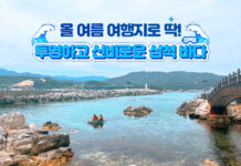 올 여름 여행지로 딱! 투명하고 신비로운 삼척 바다