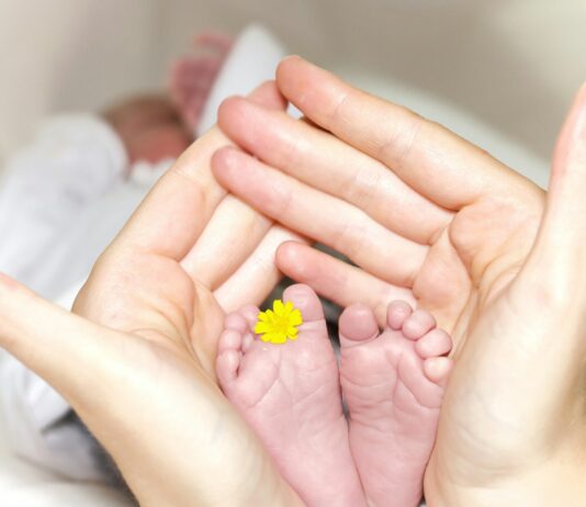 난임부부 시술비 출산당 25회로 확대 person holding baby's toe with yellow petaled flower in between