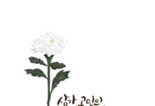 대구광역시, 무안공항 제주항공 여객기 사고 추모 동참