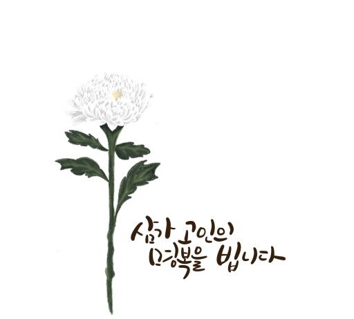 대구광역시, 무안공항 제주항공 여객기 사고 추모 동참