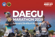 2025 대구마라톤대회 내년 2월 개최, 마스터즈 참가접수