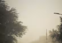 중국발 미세먼지, 내 몸 지키는 현명한 방법