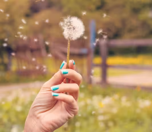 5월의 운동, 꽃가루와 미세먼지도 함께 뛴다