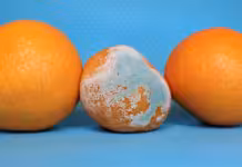 여름철 식중독 급증…’이 음식’ 보관만 잘해도 예방된다