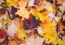 가을 환절기, 면역력 지키는 운동법